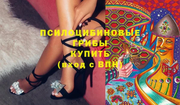 дмт Абаза