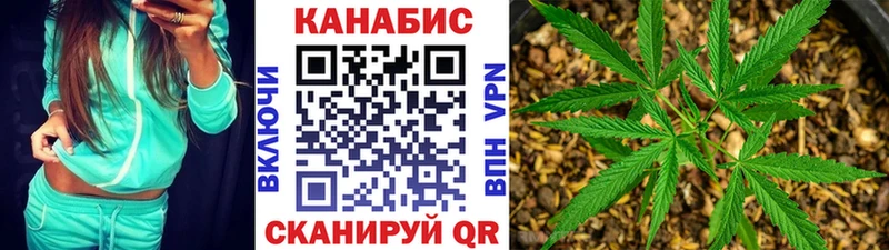 Канабис план  блэк спрут вход  Вилюйск 